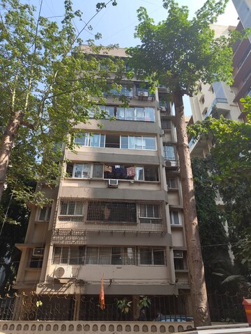 2 BHK Apartment For Rent in Linkway Apartments, Santacruz West