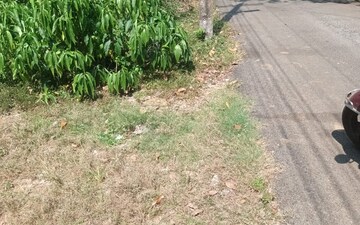 Plot For Sale in Kodibag