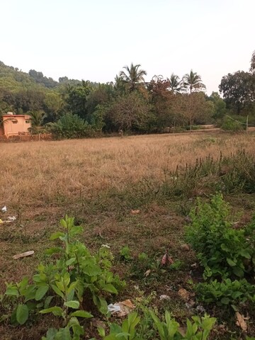  Plot For Sale in Kodibag