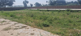 Plot For Resale in Meer Buildcon Defence City Plot III Deri Skaner Greater Noida  8104335