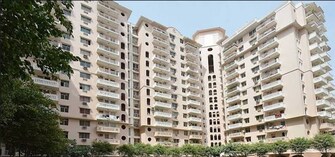 3 BHK Apartment For Resale in DLF The Wellington Estate Dlf Phase V Gurgaon  8104447