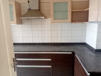 3 BHK Apartment For Rent in Orchid Petals Sector 49 Gurgaon  8104504