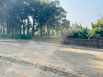 Plot For Resale in Ram Vihar Dehradun  8104700