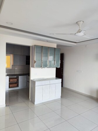 2 BHK Apartment For Rent in Godrej 24 Sarjapur Sarjapur Road Bangalore  8104792