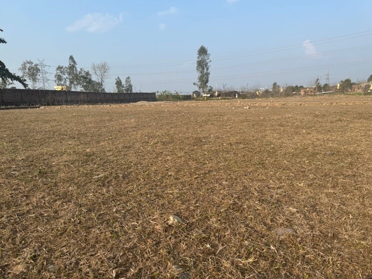 undefined, ram vihar  118 Sq.Yd. Plot In Ram Vihar Dehradun 8104869