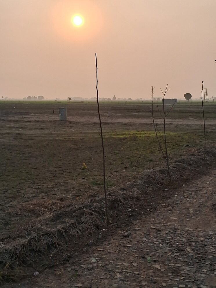 Exterior View, jewar  515 Sq.Yd. Plot In Jewar Greater Noida 8104879