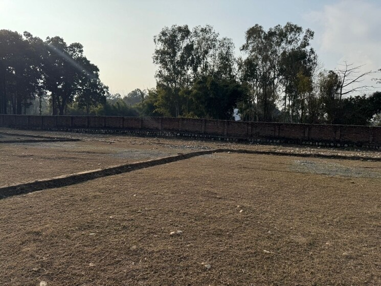 undefined, ram vihar  119 Sq.Yd. Plot In Ram Vihar Dehradun 8105042