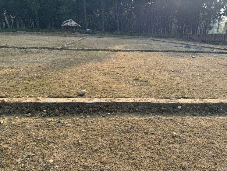 undefined, ram vihar  119 Sq.Yd. Plot In Ram Vihar Dehradun 8105042