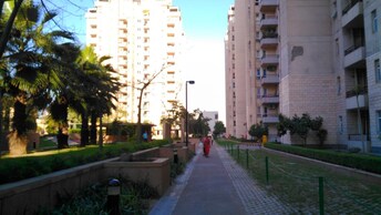 3 BHK Apartment For Rent in Orchid Petals Sector 49 Gurgaon  8105128