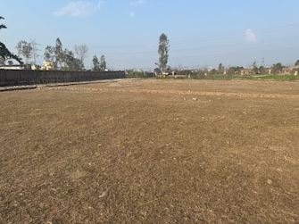 Plot For Resale in Adhoiwala Dehradun  8105249