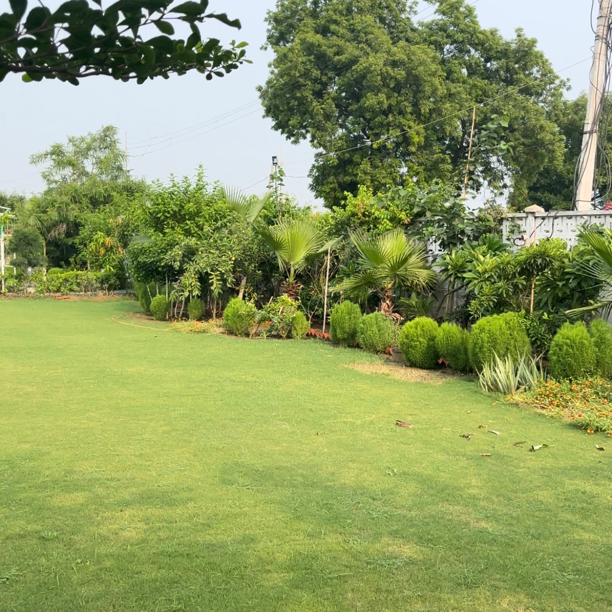 3 BHK + Pooja Room,Servant Room,Study Room Independent House For Sale in BPTP Park Central