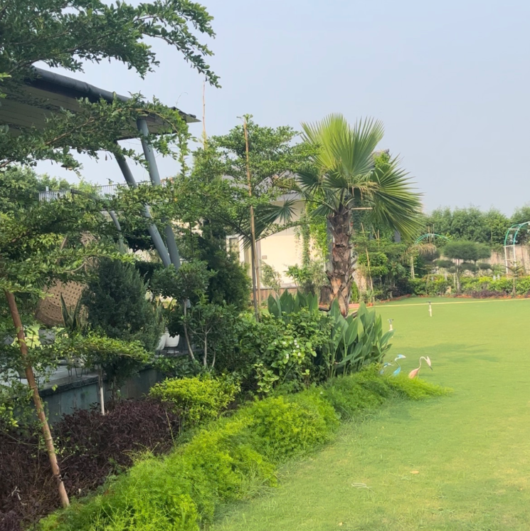 Garden, bptp-park-central 3 Bedroom 1400 Sq.Yd. Independent House In Sector 85 Faridabad 8105337