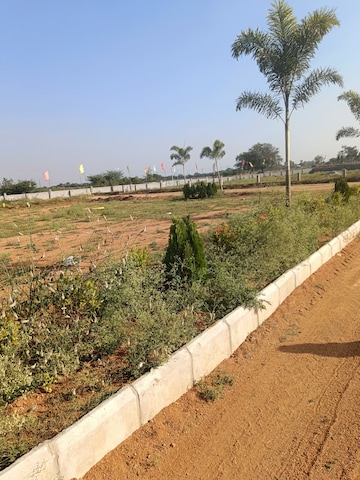 Plot Area in  Plot at Shadnagar – for Sale
