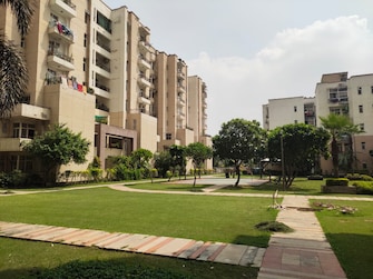 3 BHK Apartment For Rent in Omaxe Palm Greens Mu Greater Noida Greater Noida  8105455