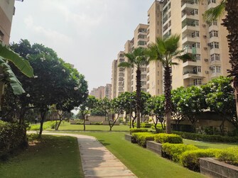 3 BHK Apartment For Rent in Omaxe Palm Greens Mu Greater Noida Greater Noida  8105455