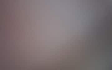 1 BHK Apartment For Rent in Hiranandani Estate Greenwich, Ghodbunder Road