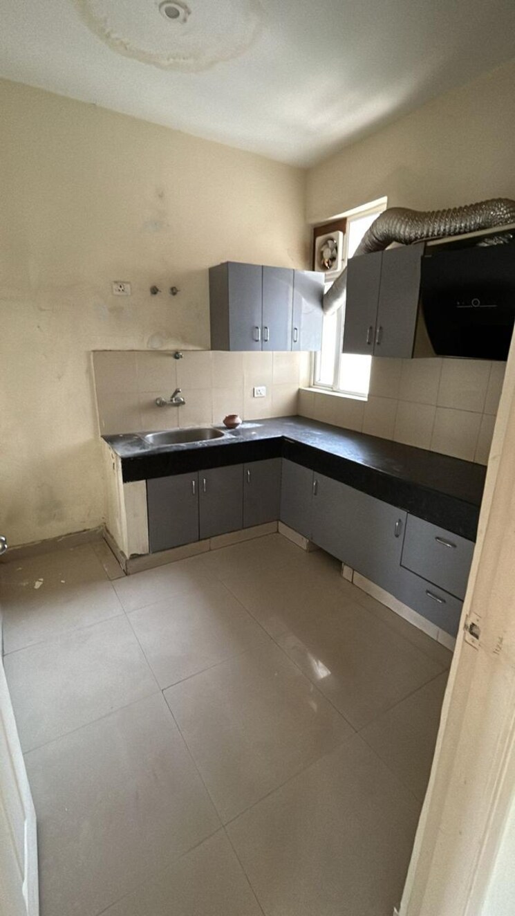 Kitchen, roots-courtyard 3 Bedroom 240 Sq.Yd. Builder Floor In Sector 48 Gurgaon 8105700