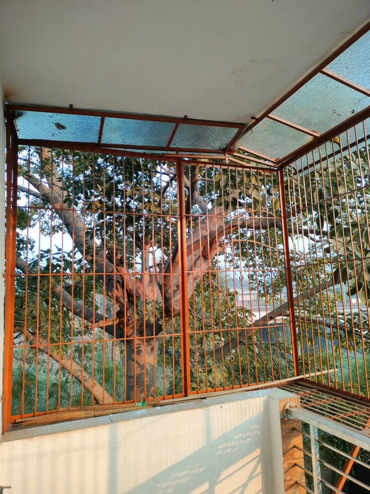 Balcony, sector 43 2 Bedroom 1050 Sq.Ft. Builder Floor In Sector 43 Faridabad 8105813