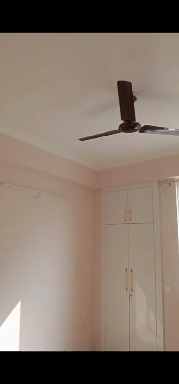 Room in 2.5 BHK Apartment at Amrapali Golf Homes, Sector 4, Greater Noida – for Rent