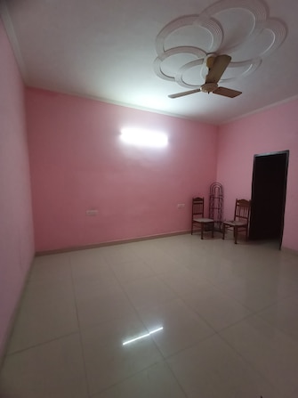 2 BHK Apartment For Rent in Sunny Enclave Mohali  8105998