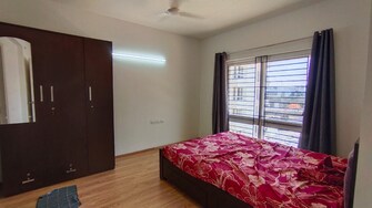 2 BHK Apartment For Rent in Kolte Patil iTowers Exente Electronic City Phase I Bangalore  8106051