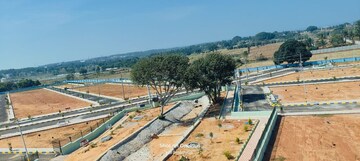 Plot Area in  Plot at Bhogapuram – for Sale