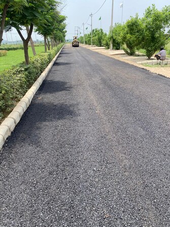 Plot For Resale in Ujjain Road Indore  8106365