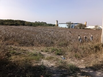 Plot Area in  Plot at Velmala – for Sale