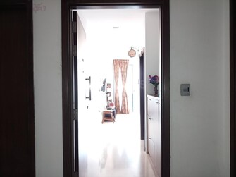 3 BHK Apartment For Resale in Oberoi Exquisite Goregaon Goregaon East Mumbai  8106445