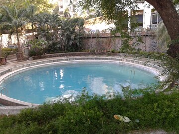 Swimming Pool in 1 BHK Apartment at Kanti Apartments, Bandra West – for Rent