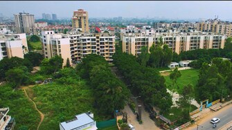 3 BHK Apartment For Resale in Sector 116 Mohali  8106989