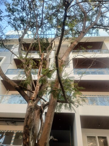 3 BHK Apartment – Exterior View View at Indiranagar - for Rent