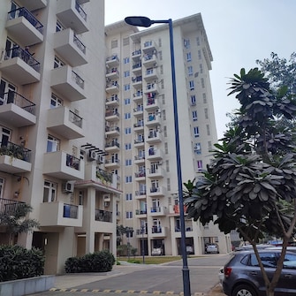 2 BHK Apartment For Rent in Emaar Emerald Estate Sector 65 Gurgaon  8107054