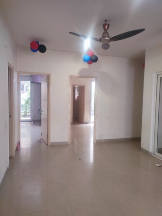 3 BHK Apartment For Rent in Emaar Emerald Floors Premier Sector 65 Gurgaon  8107068