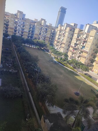 3 BHK Apartment For Rent in Emaar Emerald Floors Premier Sector 65 Gurgaon  8107068