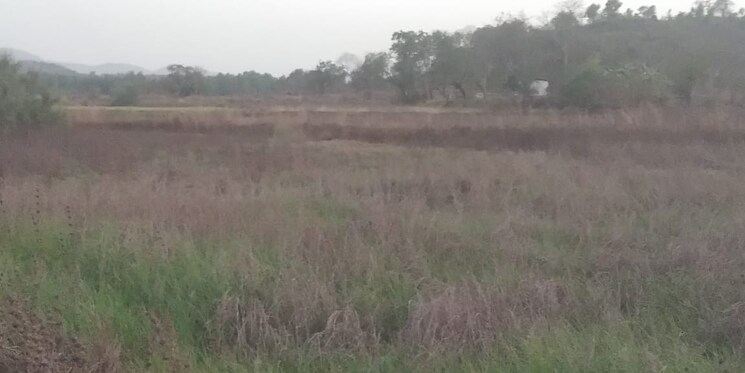 undefined, pen  20000 Sq.Ft. Plot In Pen Navi Mumbai 8107073