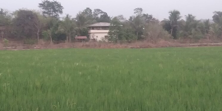 undefined, pen  20000 Sq.Ft. Plot In Pen Navi Mumbai 8107073