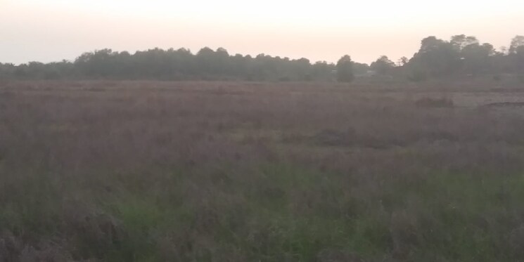 undefined, pen  20000 Sq.Ft. Plot In Pen Navi Mumbai 8107073