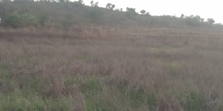 undefined, pen  20000 Sq.Ft. Plot In Pen Navi Mumbai 8107073