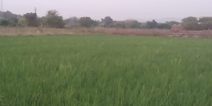 undefined, pen  20000 Sq.Ft. Plot In Pen Navi Mumbai 8107073