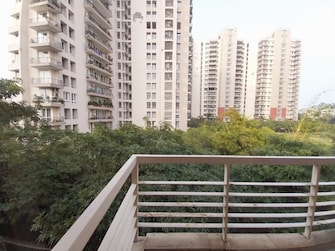 3 BHK Builder Floor For Rent in Nirvana Country Birch Court Sector 50 Gurgaon  8107134