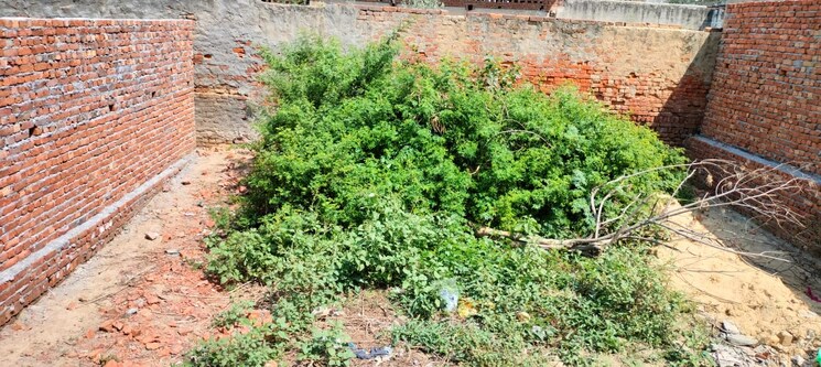 undefined, girdharpur  137 Sq.Yd. Plot In Girdharpur Greater Noida 8107139