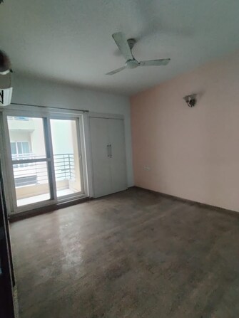 2 BHK Apartment For Rent in ABA Cleo County Sector 121 Noida  8107178