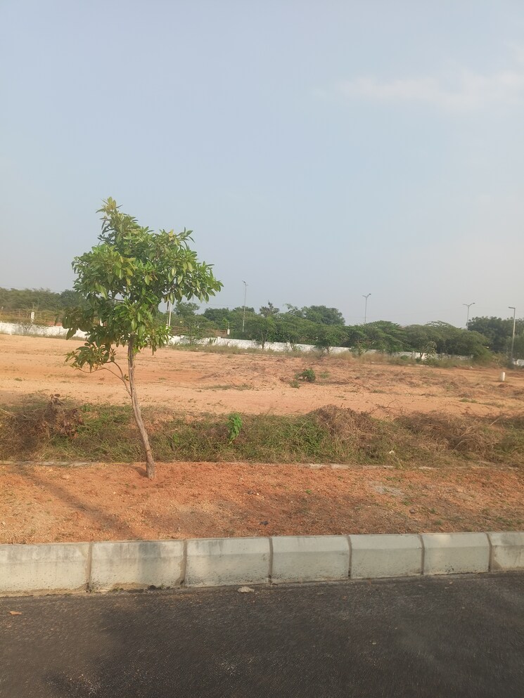 undefined, mazidpur  200 Sq.Yd. Plot In Mazidpur Hyderabad 8107525