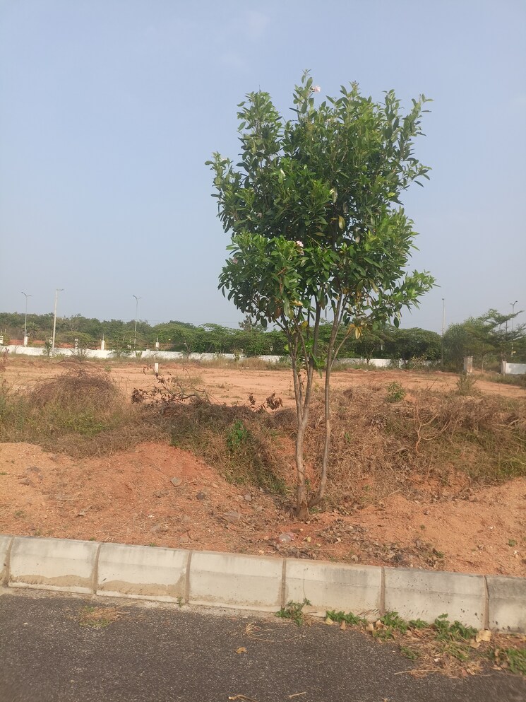 undefined, mazidpur  200 Sq.Yd. Plot In Mazidpur Hyderabad 8107525