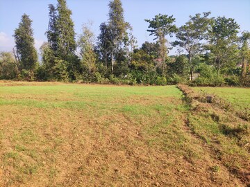  Plot – Exterior View View at Bhiwandi - for Rent