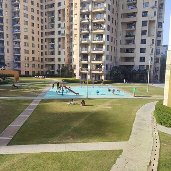 3 BHK Apartment For Rent in Unitech Fresco Sector 50 Gurgaon  8108196