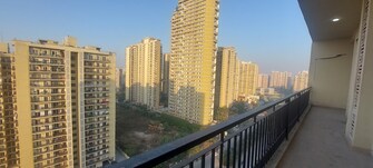 3 BHK Apartment For Rent in Maxblis Grand Kingston Sector 75 Noida  8108229