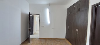 2 BHK Apartment For Rent in Aims Golf Avenue II Sector 75 Noida  8108473