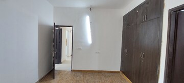 2 BHK Apartment For Rent in Aims Golf Avenue II, Sector 75
